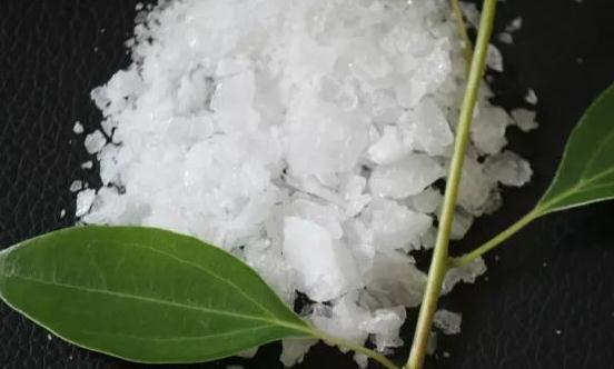 2024天然冰片行业发展现状及市场规模分析