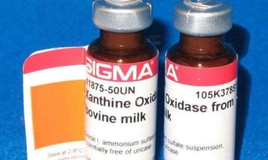 2024年中国诺氟沙星注射液行业的市场发展现状及发展趋势分析