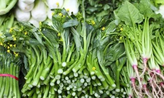 市场前景：有机蔬菜市场在过去五年内年均增长率超过20%