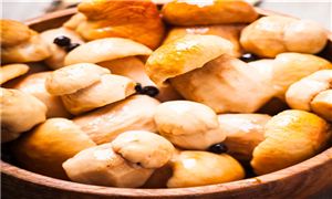 2025年贵州省食用菌行业市场发展现状及未来发展前景趋势分析