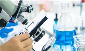 2025年杭州生物认证行业市场产业链分析与未来展望