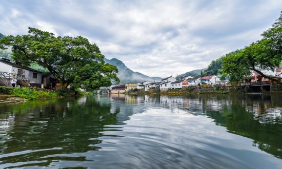 2025中国生态农业与美丽乡村建设行业：受到消费者的广泛欢迎