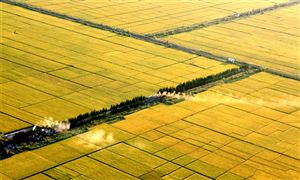 2025年黑龙江省新型农业发展趋势及产业链投资策略分析