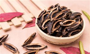 2025年贵州省中药材行业发展现状及市场前景深度调研分析