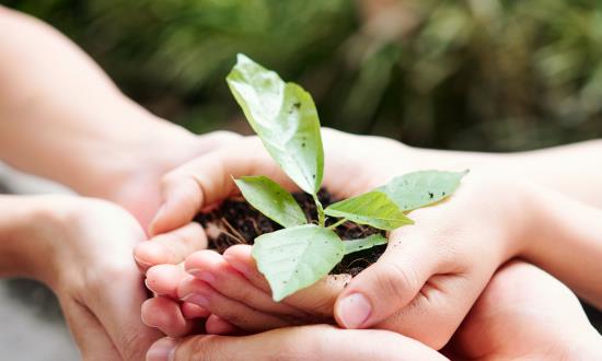 2025中国生态农业行业发展现状与未来展望