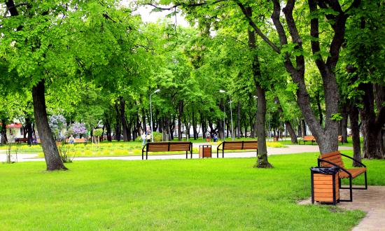 2025中国公园后勤管理行业：并购窗口已打开，“哑铃”资产最抢手