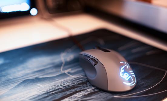 2025中国鼠标市场深度调查及供需格局、未来前景分析