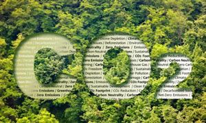 新疆绿色低碳行业现状洞察与未来趋势分析