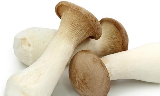 杏鲍菇行业现状与发展趋势深度分析