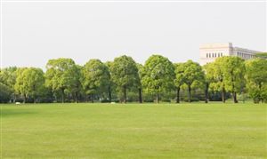 宁夏林业草原保护与发展行业现状洞察与未来趋势分析