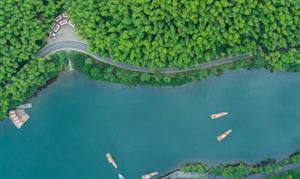 青海省生态农牧业市场现状剖析与发展趋势洞察