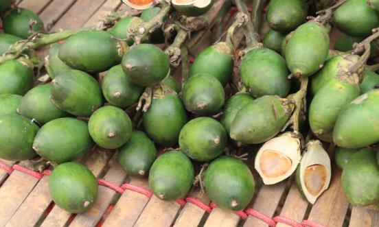 2025槟榔行业市场规模及未来趋势分析