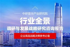 2025年PEEK材料行业深度分析：现状洞察、前景展望与未来趋势