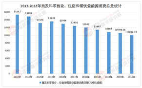 2025-2030年共享住宿产业：泡沫挤出后的真正价值回归?