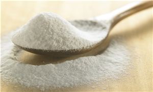 2026年小苏打行业深度调研及投资机会分析