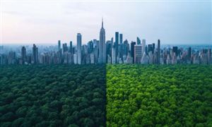 2026城市更新项目商业计划书：正从“拆改留”转向“留改拆”