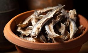 2026年中国医药电商行业全景透视：从流量争夺到价值重构的深度变革