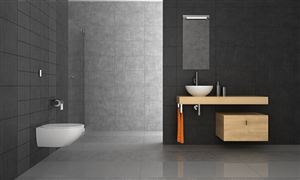 2026年智能坐便器行业市场深度调研及未来发展趋势