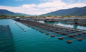 2026深海养殖产业：在“勇闯深蓝”的热情与“惊涛骇浪”的挑战间前行