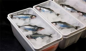 2026-2030年生鲜冷链物流行业：新能源冷藏车渗透率超50%，千亿赛道如何“绿”动未来?