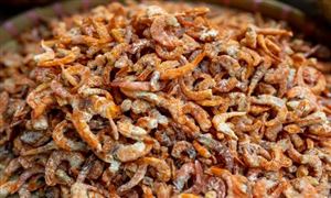 2026海鲜干货产业：在传统传承与现代市场之间徘徊