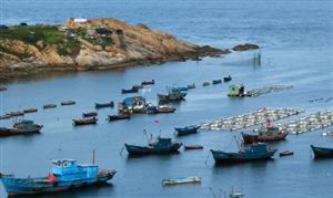 2026年中国养殖行业竞争格局及发展趋势预测