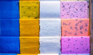 2026造纸产业：差异化定位与系统性能力重塑