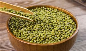 2026-2030年中国绿豆行业深度调研及投资机会分析