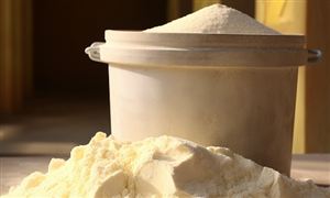 2026年乳粉行业市场深度调研及发展趋势预测