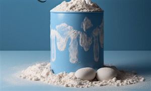 2026年中国婴幼儿用品行业深度调研与发展趋势预测研究