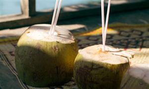 椰子水行业整体运行现状、供需情况及发展趋势预测