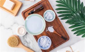 2026海藻提取物行业发展前景及投资风险分析