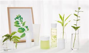 2026中国护肤品行业市场发展规模与产业链分析