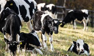 挤奶器行业挑战与对策分析2026