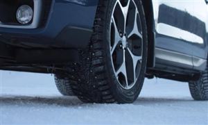 2026年抗寒剂行业发展现状分析与前景展望