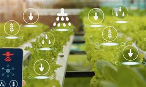 2026智能小区行业发展市场规模与趋势分析