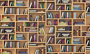 2026-2030年书柜行业：将成为下一个“氛围经济”的入口?