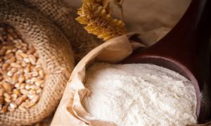 2026年集装袋行业市场分析及发展前景预测