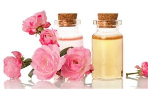 2026中国香精香料行业：在转型阵痛中孕育价值跃迁的新动能