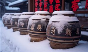 2026中国酿酒产业：Z世代崛起与“微醺社交”定义新酒饮时代