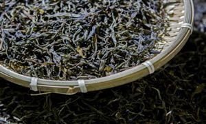 2026中国黑茶行业：从“边销茶”到“全民饮品”的跨越式发展