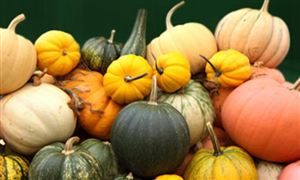 2026中国农产品流通行业发展市场规模与趋势深度解析