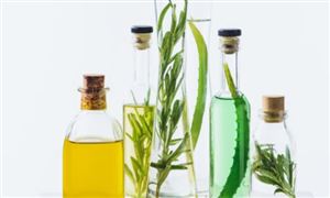 2026合成香料行业发展现状与产业链分析