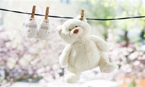 2026电动晾衣机产业：市场趋势洞察，需求持续升级