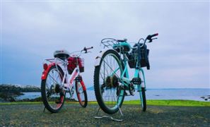 2026自行车行业市场规模分析及未来发展趋势预测