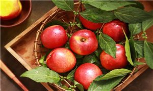 2026年中国农业产业园行业发展现状与前景洞察