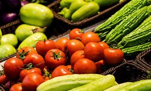 2026年中国线下零售行业深度调研与发展趋势预测研究