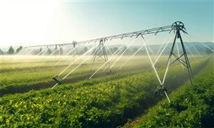 2026-2030年中国滴灌行业：西北干旱区“稳存量”与东北黑土区“扩增量”的区域投资策略