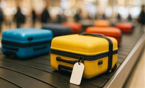 2026旅行箱行业市场规模分析及风险投资态势