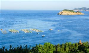 深海养殖产业现状与发展趋势分析2026